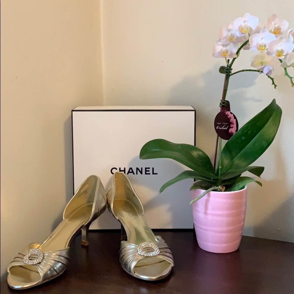 Aldo Heels